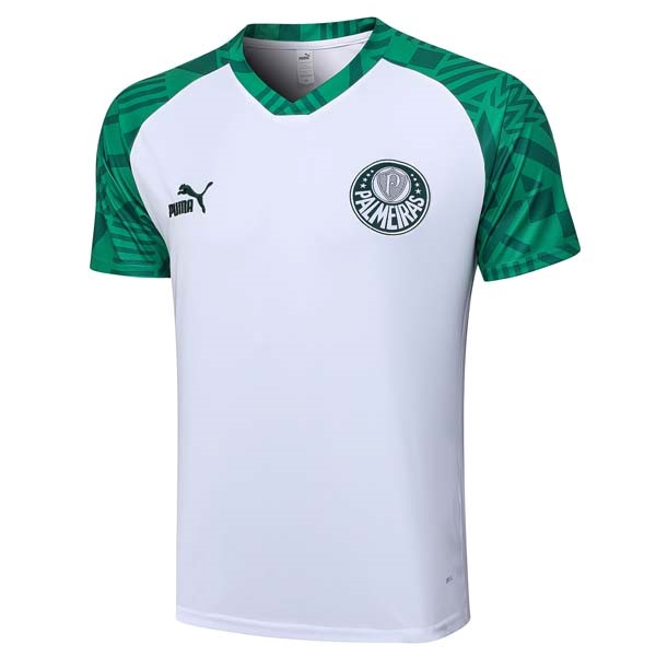 Camiseta Entrenamiento Palmeiras 2023/24 Blanco Verde